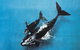 The Ultimate Great Ocean Road Fishing & 12 Apostles Experience - 2.5 Days - thumb 7