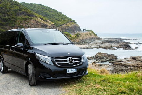 The Ultimate Great Ocean Road Fishing & 12 Apostles Experience - 2.5 Days - Attractions Melbourne 8