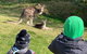 Great Ocean Road Express Private Tour - A Highlights Tour With A Local (8 Hours) - thumb 2