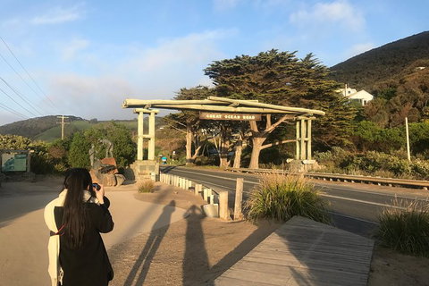 Great Ocean Road Express Private Tour - A Highlights Tour With A Local (8 Hours) - Attractions Melbourne 4