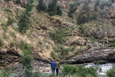 Grampians - Private Tour - Attractions Melbourne 4