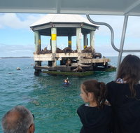 Sailing cruise with Seals - Attractions Melbourne