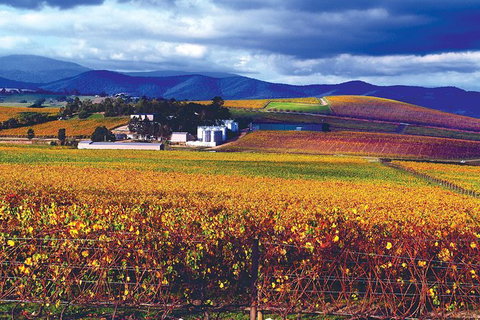 Behind-the-Scenes De Bortoli Gourmet Food And Wine Tasting Tour Including 3-Course Lunch - Attractions Melbourne 2
