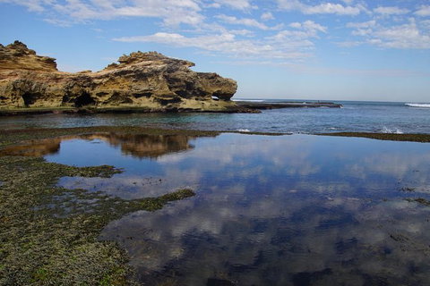 Private Tours From Melbourne - Attractions Melbourne 2