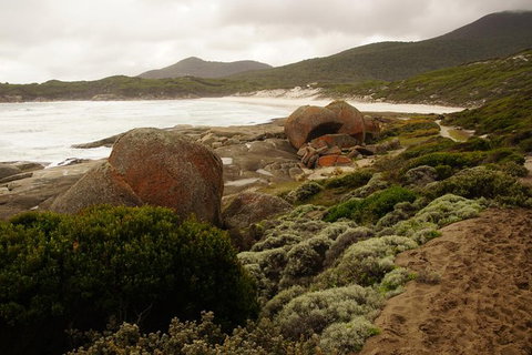 Private Tours From Melbourne - Attractions Melbourne 8