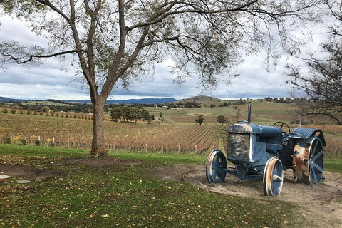 Private Tours From Melbourne - Attractions Melbourne 24