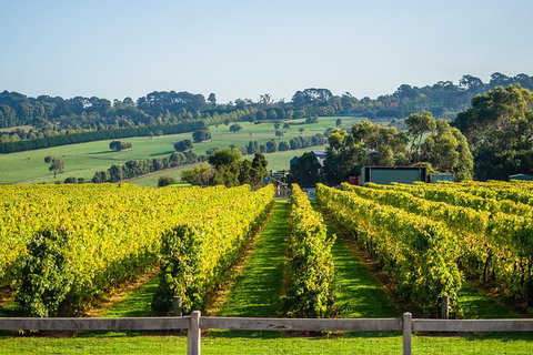 Private Tours From Melbourne - Attractions Melbourne 12