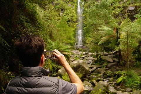 Private Tours From Melbourne - Attractions Melbourne 10
