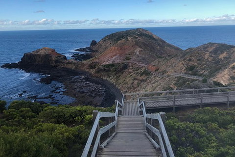 Private Tours From Melbourne - Attractions Melbourne 19