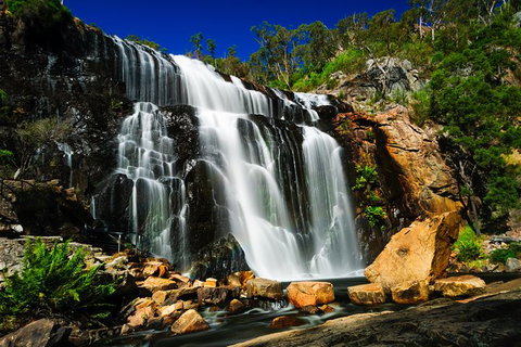 Private Tours From Melbourne - Attractions Melbourne 22