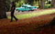 \'56 Chevrolet 6-Hour Bespoke Melbourne Classic Car Private Tour (4 Person) - thumb 5