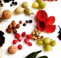 private Tour Australian Native Foods Tour - Attractions Melbourne