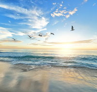 Cruise Ship Shore Excursion - Private Great Ocean Road Express Tour 9 Hour - Attractions Melbourne