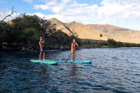 Stand Up Paddle Boarding Hire - Attractions Melbourne 2