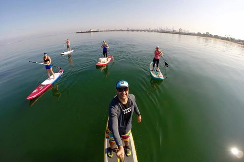 Stand Up Paddle Boarding Hire - Attractions Melbourne 1