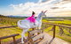 10-hour Yarra Valley Private Photography Tour (Cantonese/ Mandarin) - thumb 5