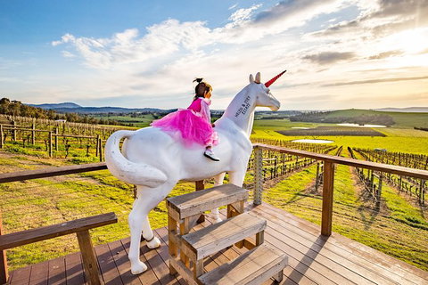 10-hour Yarra Valley Private Photography Tour (Cantonese/ Mandarin) - Attractions Melbourne 5