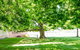 10-hour Yarra Valley Private Photography Tour (Cantonese/ Mandarin) - thumb 0