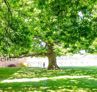 10-hour Yarra Valley Private Photography Tour Cantonese/ Mandarin - Attractions Melbourne