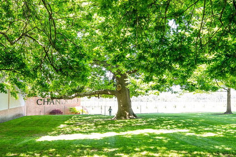 10-hour Yarra Valley Private Photography Tour (Cantonese/ Mandarin) - Attractions Melbourne 0