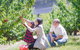 10-hour Yarra Valley Private Photography Tour (Cantonese/ Mandarin) - thumb 3