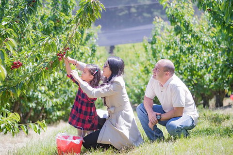 10-hour Yarra Valley Private Photography Tour (Cantonese/ Mandarin) - Attractions Melbourne 3