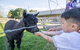 10-hour Yarra Valley Private Photography Tour (Cantonese/ Mandarin) - thumb 2
