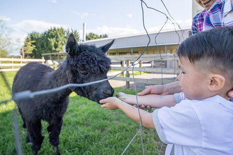 10-hour Yarra Valley Private Photography Tour (Cantonese/ Mandarin) - Attractions Melbourne 2