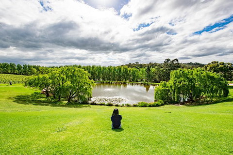 10-hour Yarra Valley Private Photography Tour (Cantonese/ Mandarin) - Attractions Melbourne 4