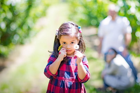 10-hour Yarra Valley Private Photography Tour (Cantonese/ Mandarin) - Attractions Melbourne 1