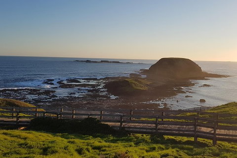 Phillip Island Private Experience - Attractions Melbourne 11