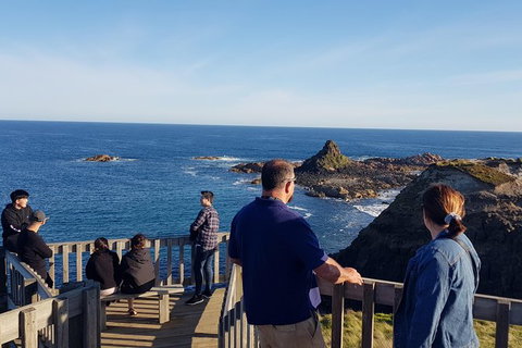 Phillip Island Private Experience - Attractions Melbourne 24