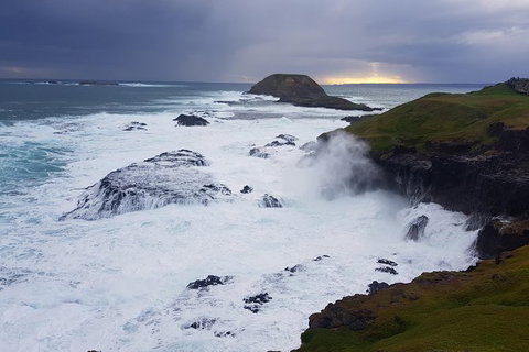 Phillip Island Private Experience - Attractions Melbourne 18