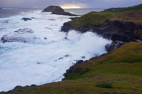 Phillip Island Private Experience - Attractions Melbourne 5