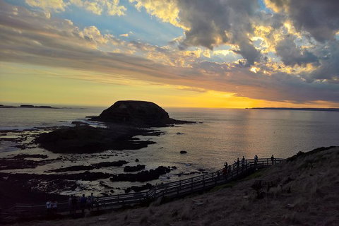 Phillip Island Private Experience - Attractions Melbourne 15