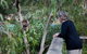 Phillip Island Private Experience - thumb 22