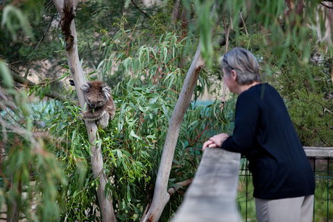 Phillip Island Private Experience - Attractions Melbourne 22