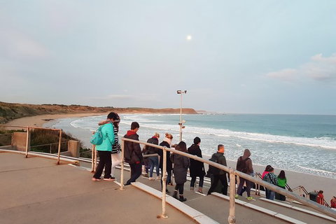 Phillip Island Private Experience - Attractions Melbourne 4