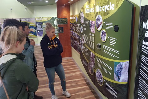 Phillip Island Private Experience - Attractions Melbourne 10