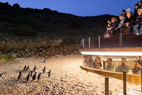 Phillip Island Private Experience - Attractions Melbourne 26