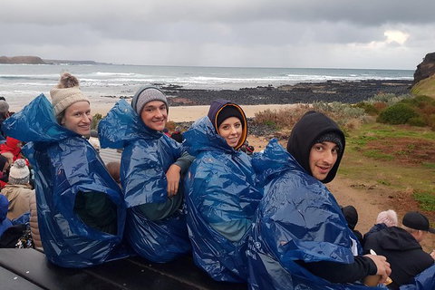 Phillip Island Private Experience - Attractions Melbourne 20