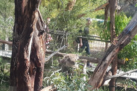 Phillip Island Private Experience - Attractions Melbourne 7