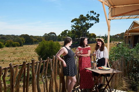 Slumber Safari At Werribee Open Range Zoo - Attractions Melbourne 2