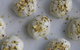 Biscuit Baking Class - thumb 5