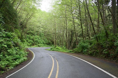 Cruise Ship Shore Excursion - Private Great Ocean Road Full Day Tour (12 Hour) - Attractions Melbourne 1
