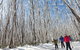 Private Snow Tour Lake Mountain (JUN-SEP) - thumb 3