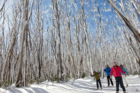 Private Snow Tour Lake Mountain (JUN-SEP) - Attractions Melbourne 3