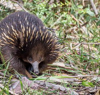 Melbourne Short Break Holiday to the Great Ocean Road  Grampians 3 Day Escape - Attractions Melbourne