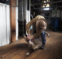 Sovereign Hill Heritage Sheep Farm Experience and Ballarat Gold Rush Day Tour from Melbourne - Attractions Melbourne