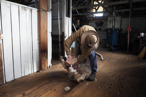 Sovereign Hill Heritage Sheep Farm Experience And Ballarat Gold Rush Day Tour From Melbourne - Attractions Melbourne 0